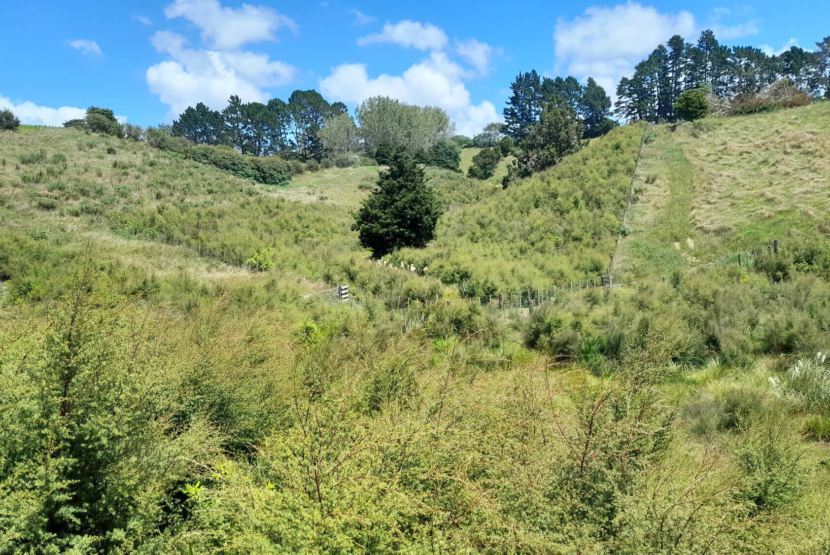 8 Lot Subdivision in Pukekohe's Countryside