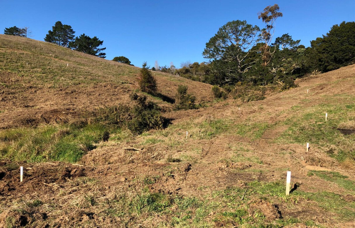 8 Lot Subdivision in Pukekohe's Countryside