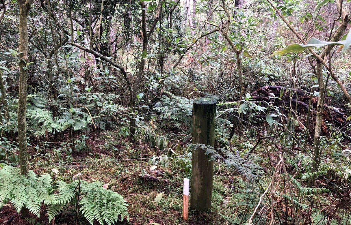 8 Lot Subdivision in Pukekohe's Countryside