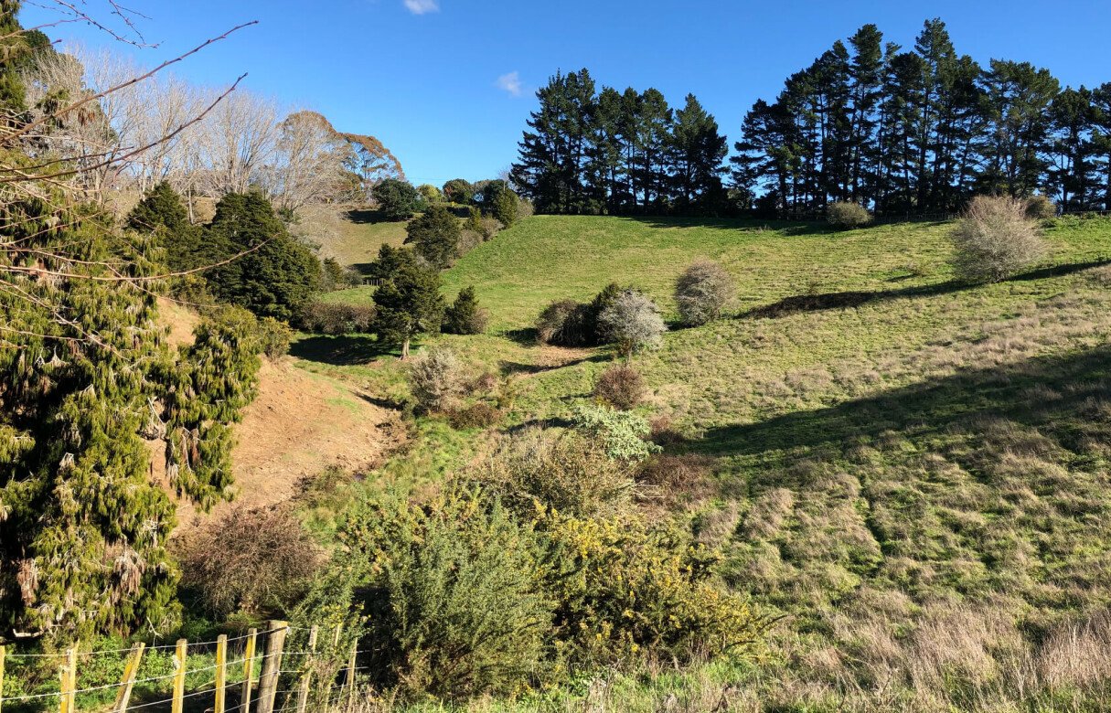 8 Lot Subdivision in Pukekohe's Countryside