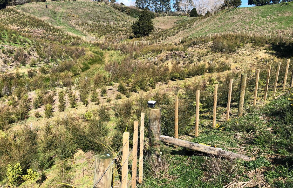 8 Lot Subdivision in Pukekohe's Countryside