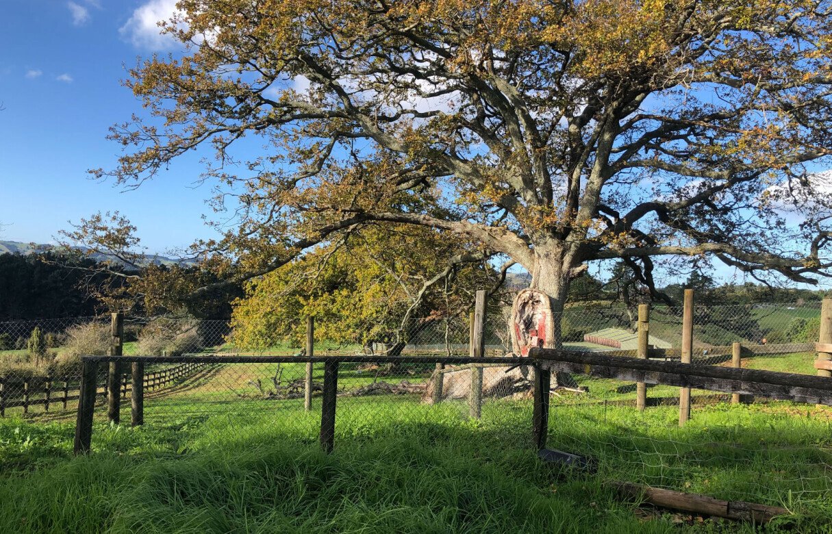 8 Lot Subdivision in Pukekohe's Countryside