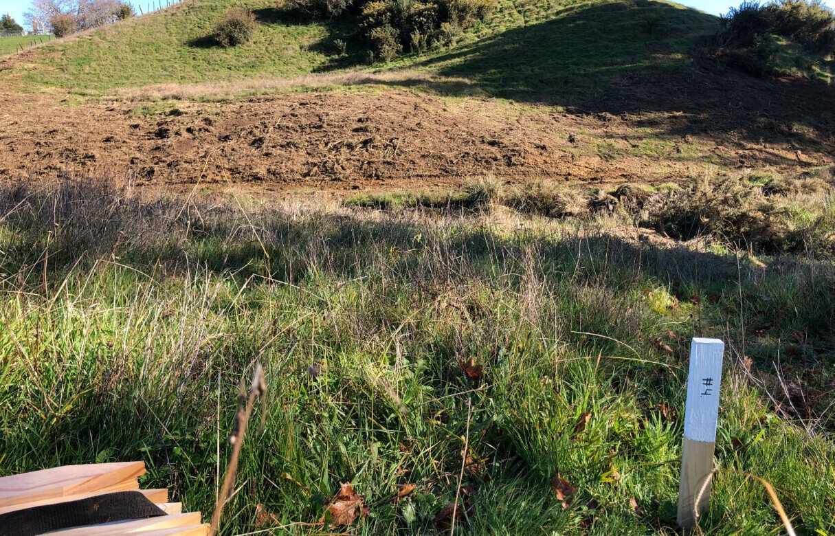 8 Lot Subdivision in Pukekohe's Countryside