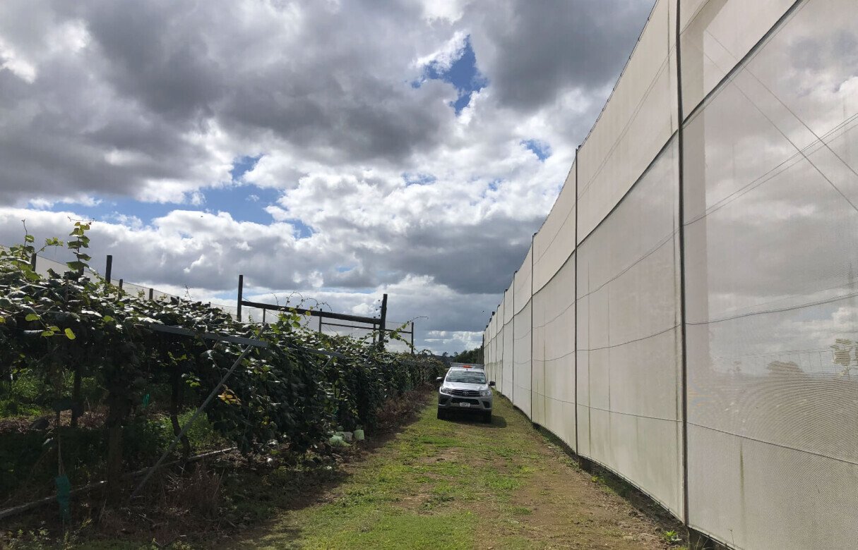 Kiwi Fruit Orchard Subdivision