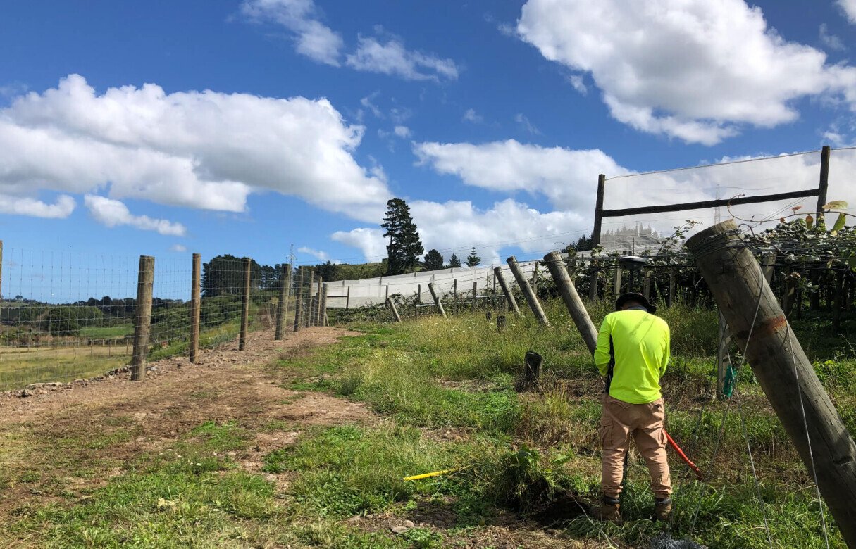 Kiwi Fruit Orchard Subdivision