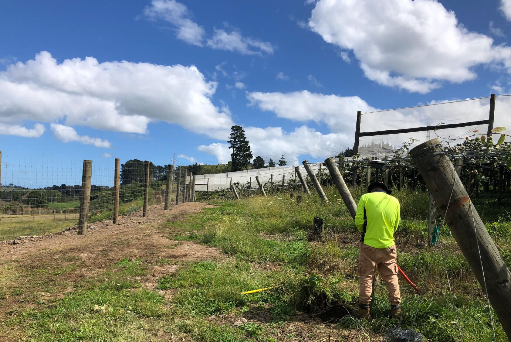 Kiwi Fruit Orchard Subdivision