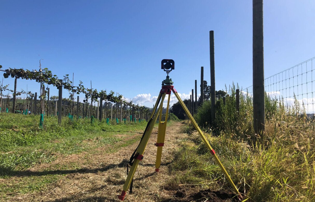 Kiwi Fruit Orchard Subdivision