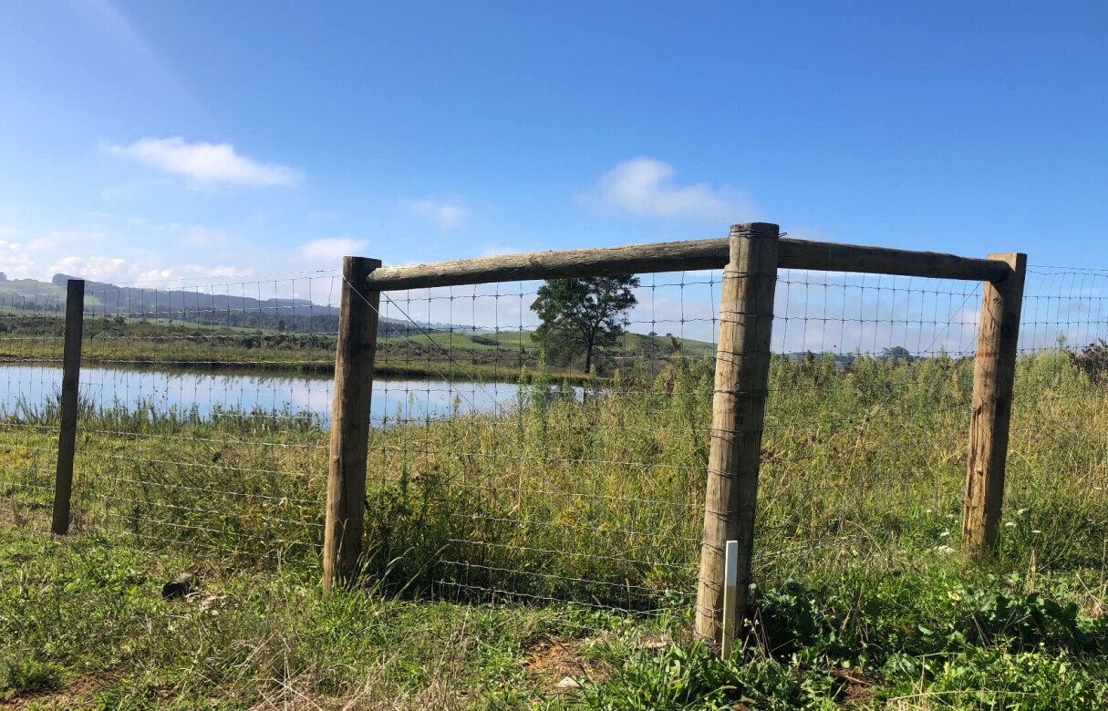 Kiwi Fruit Orchard Subdivision