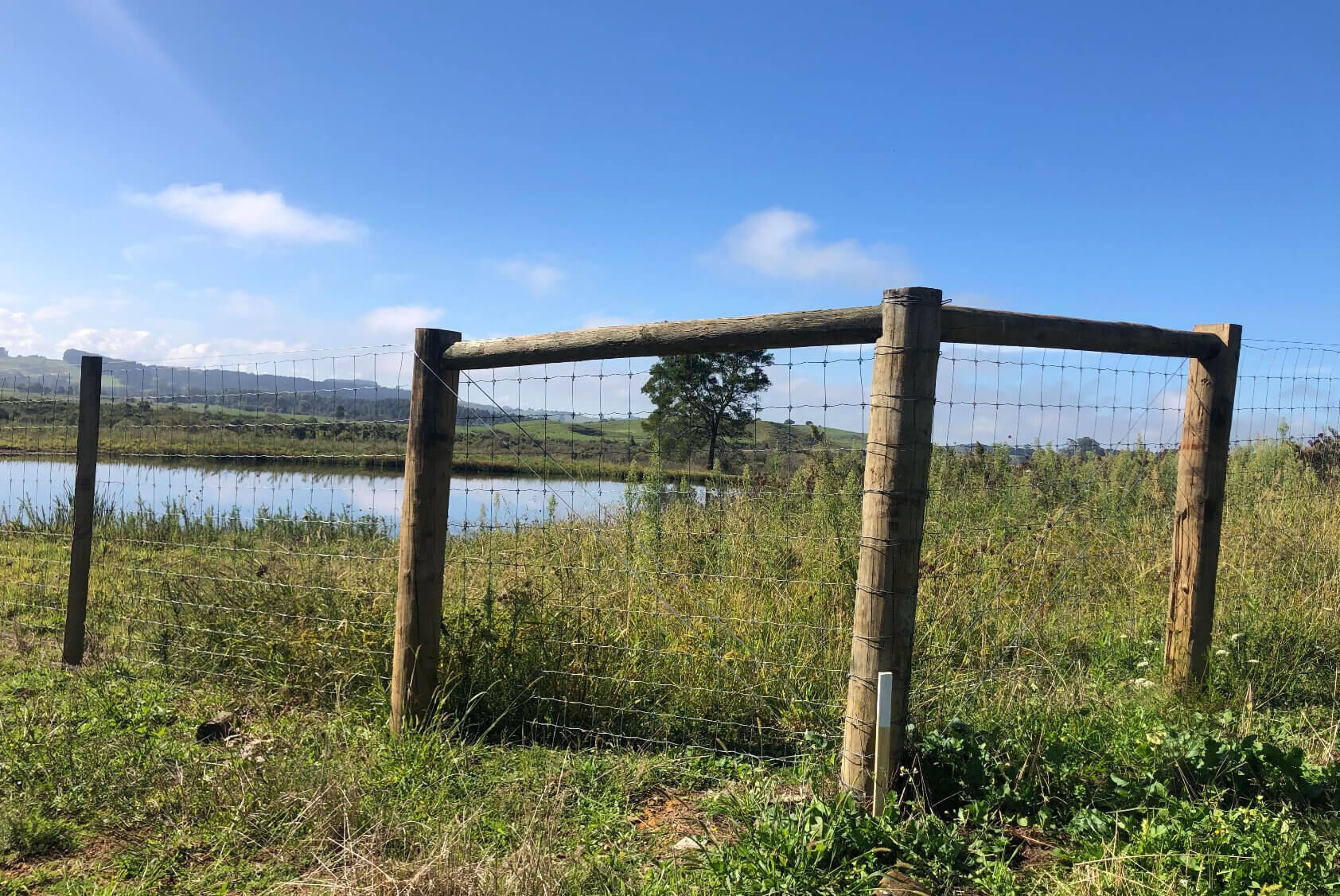 Kiwi Fruit Orchard Subdivision