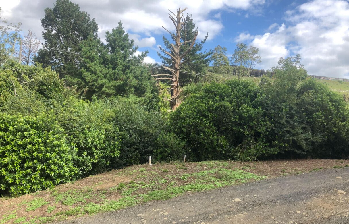 Kiwi Fruit Orchard Subdivision