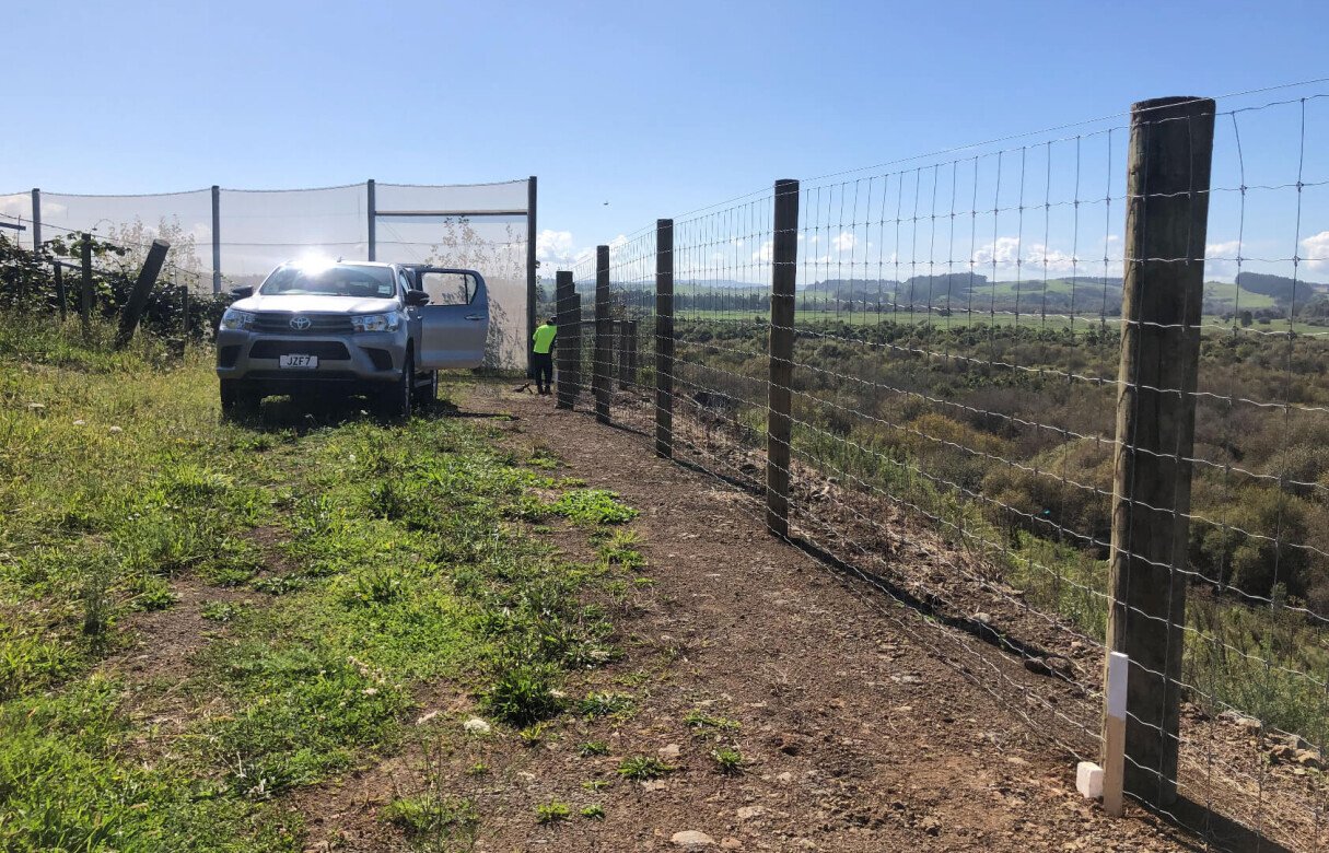 Kiwi Fruit Orchard Subdivision