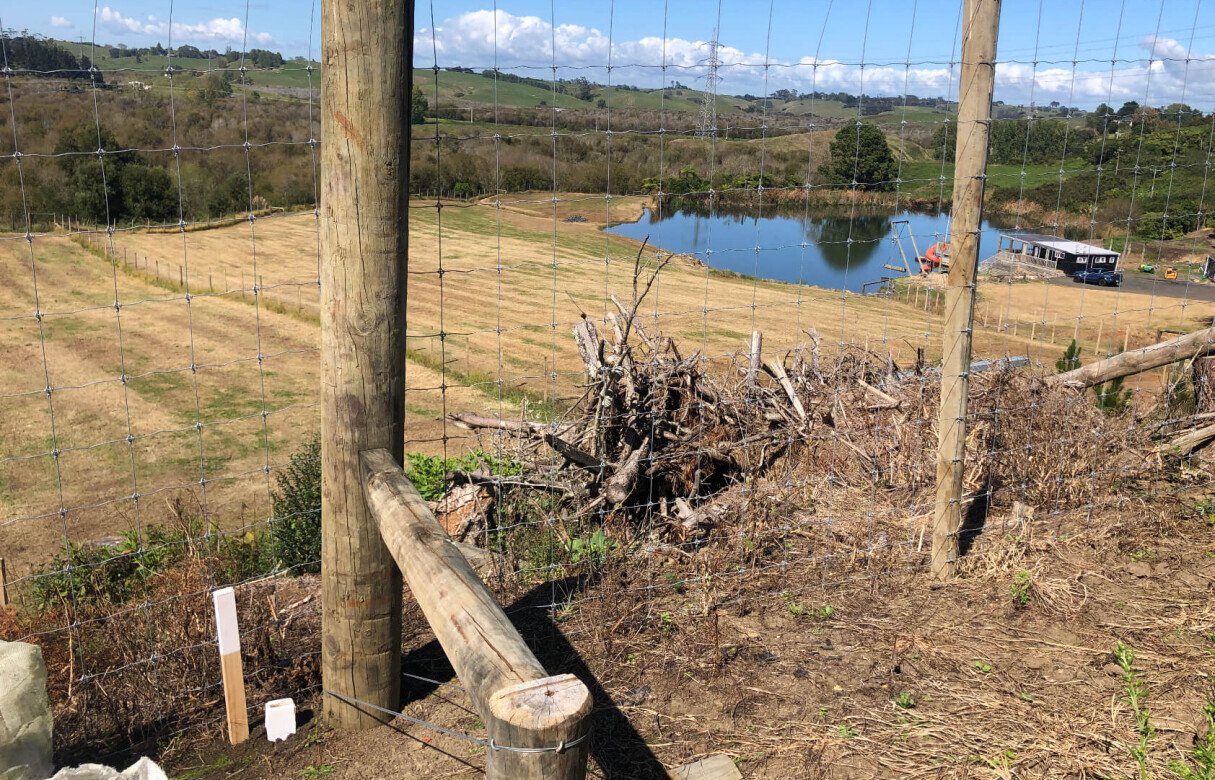 Kiwi Fruit Orchard Subdivision