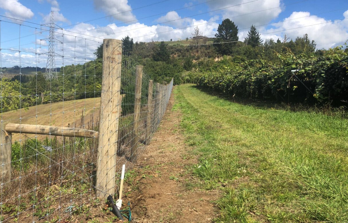 Kiwi Fruit Orchard Subdivision