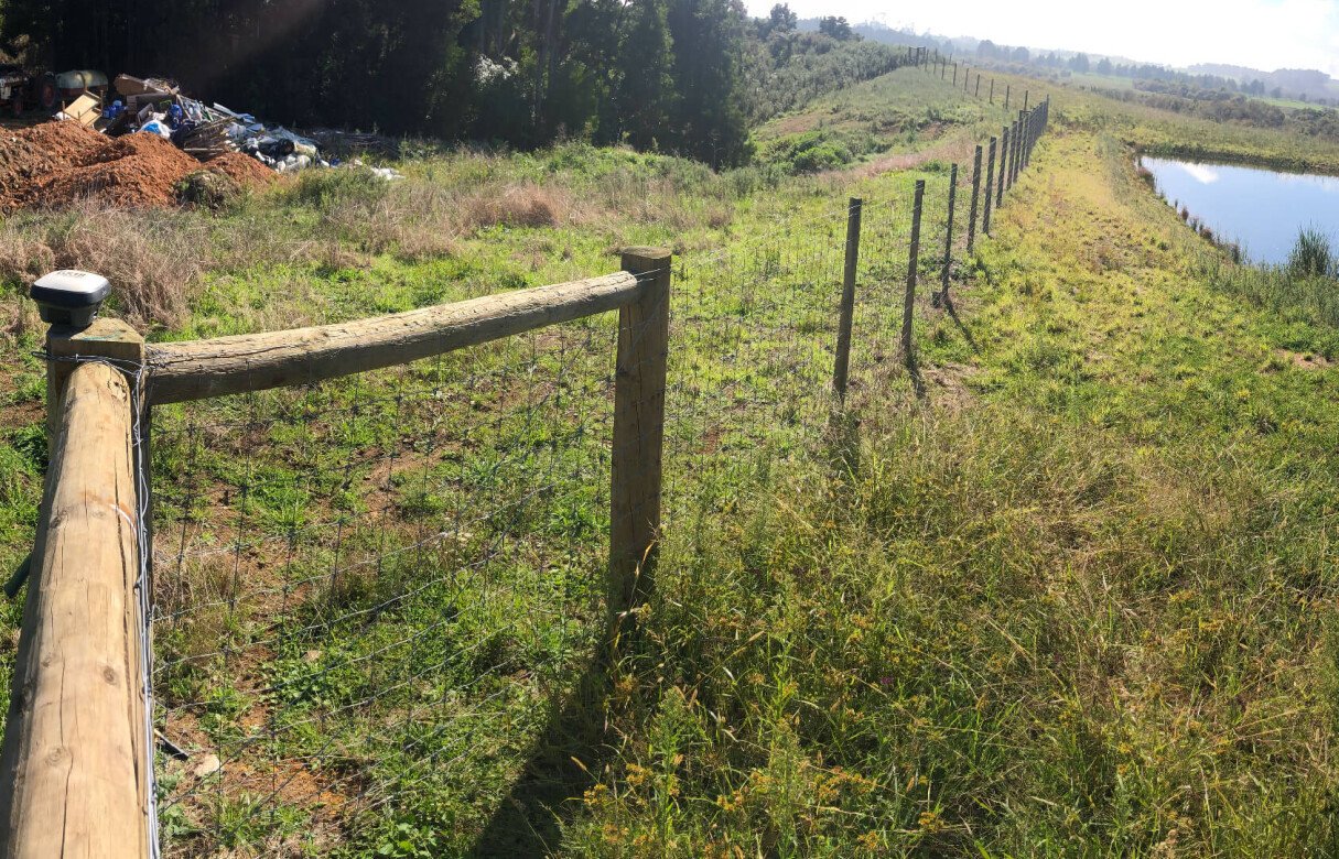 Kiwi Fruit Orchard Subdivision