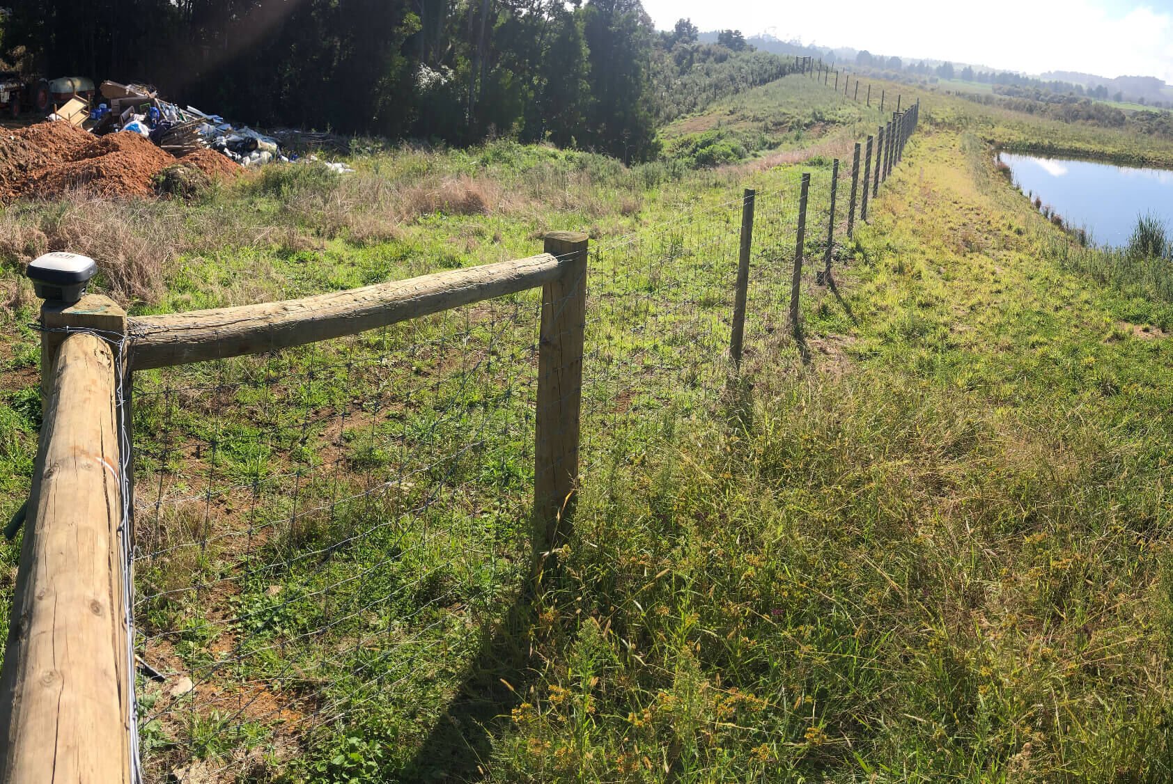 Kiwi Fruit Orchard Subdivision
