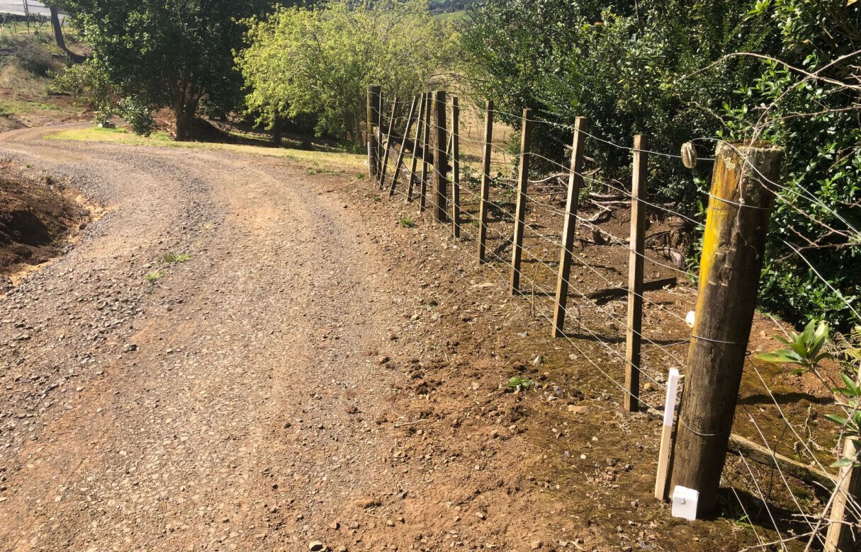 Kiwi Fruit Orchard Subdivision