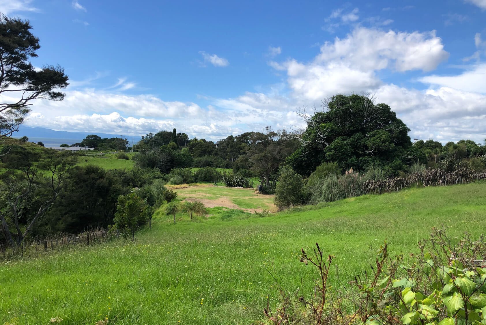 Whakatiwai proposal