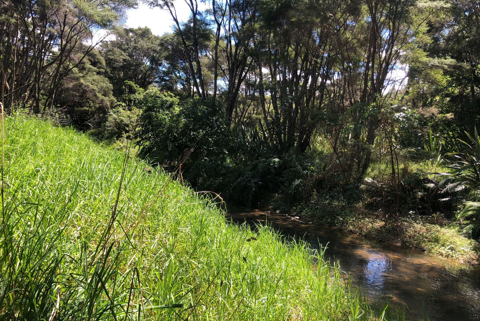 Whakatiwai proposal