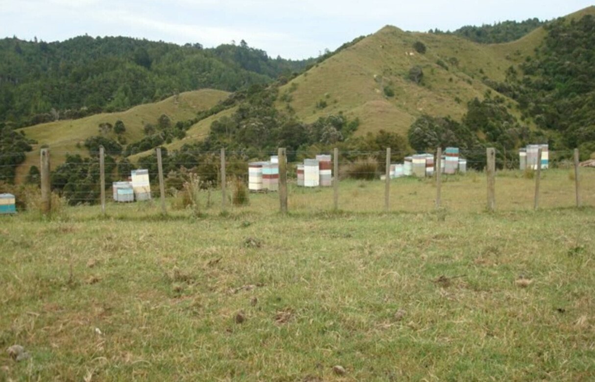 27 Rural Conservation lots