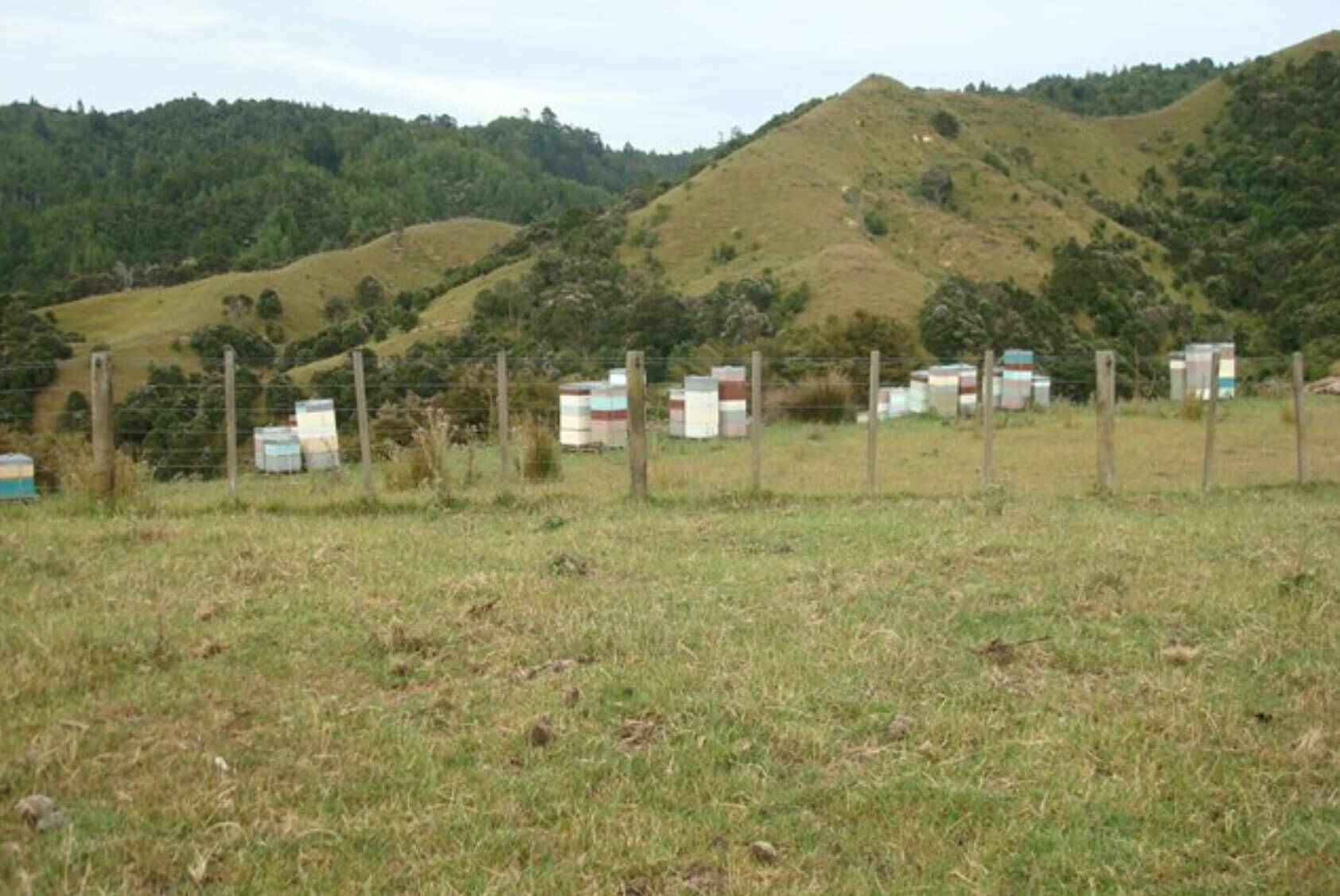 27 Rural Conservation lots