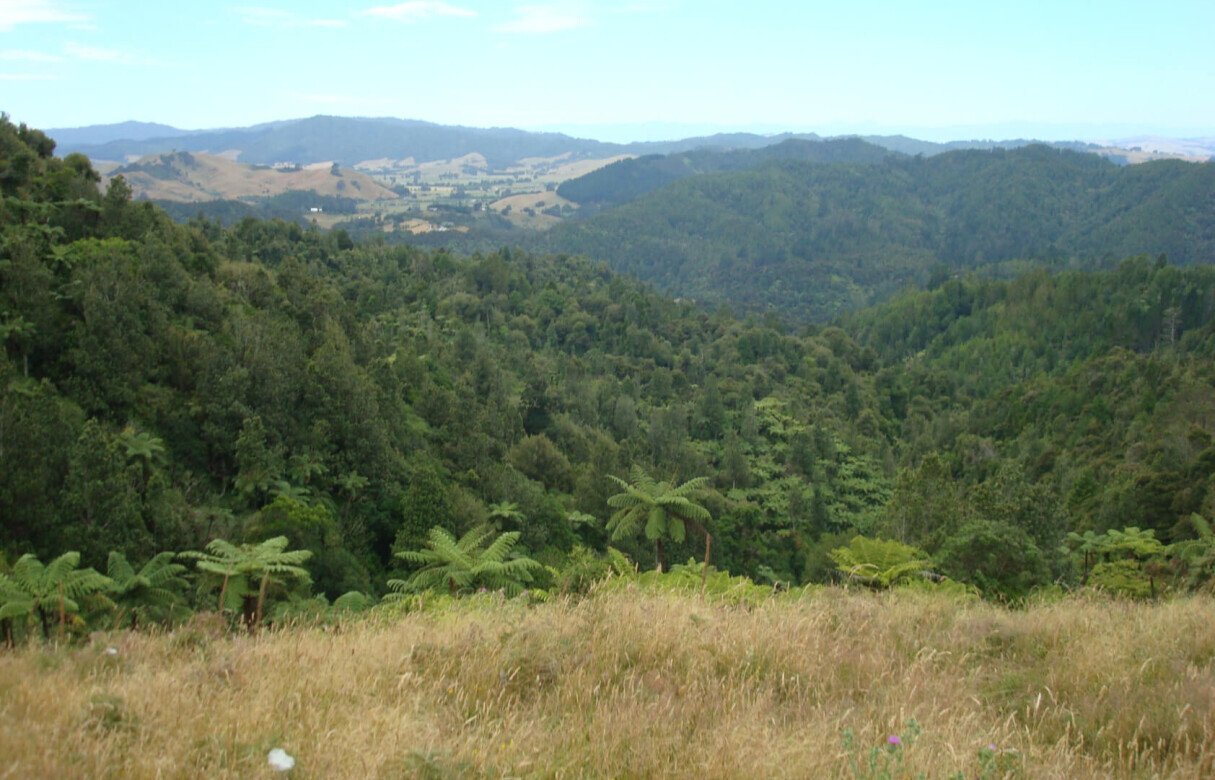 27 Rural Conservation lots