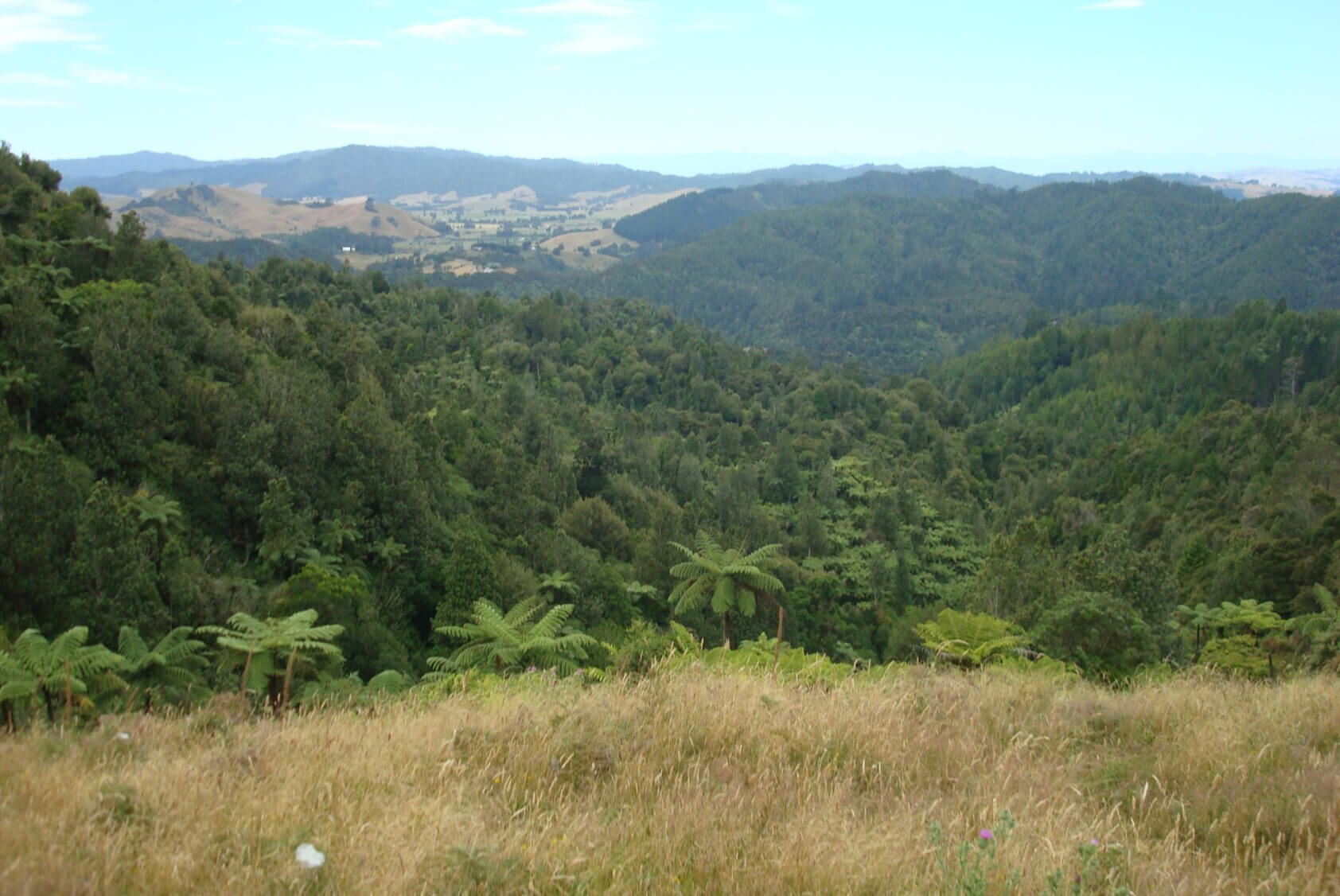 27 Rural Conservation lots