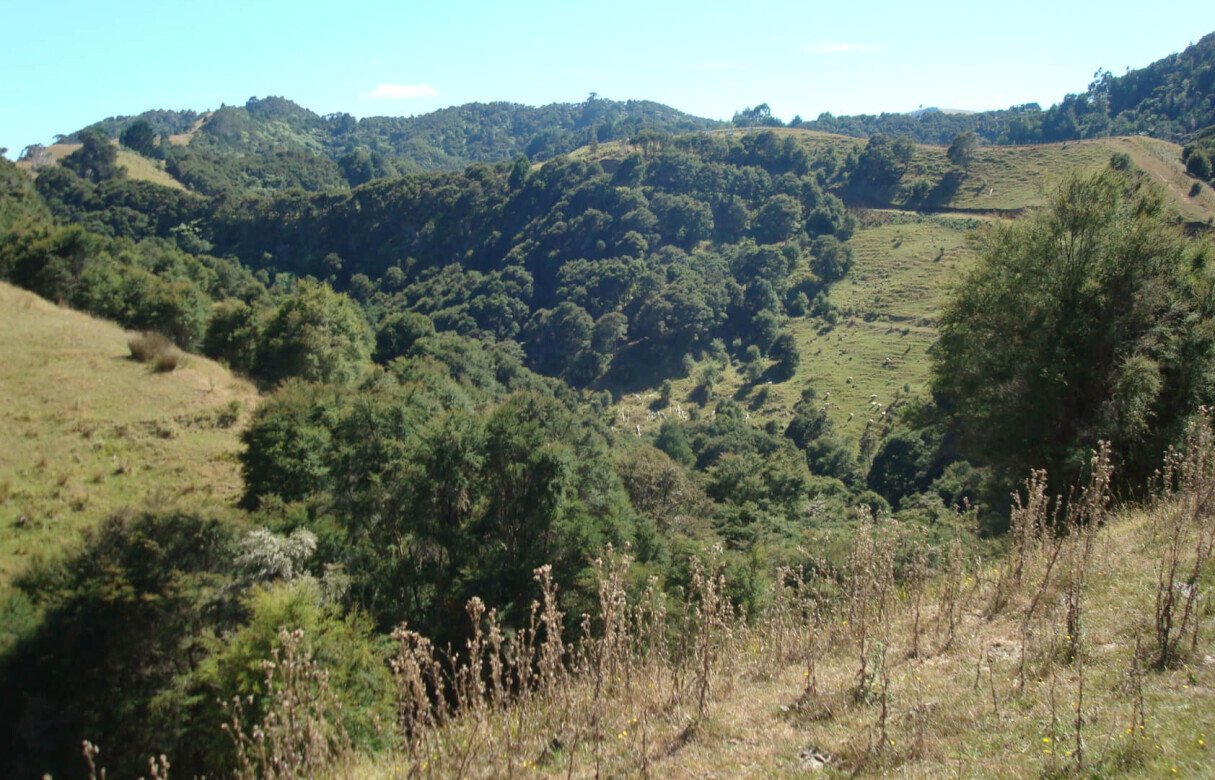 27 Rural Conservation lots