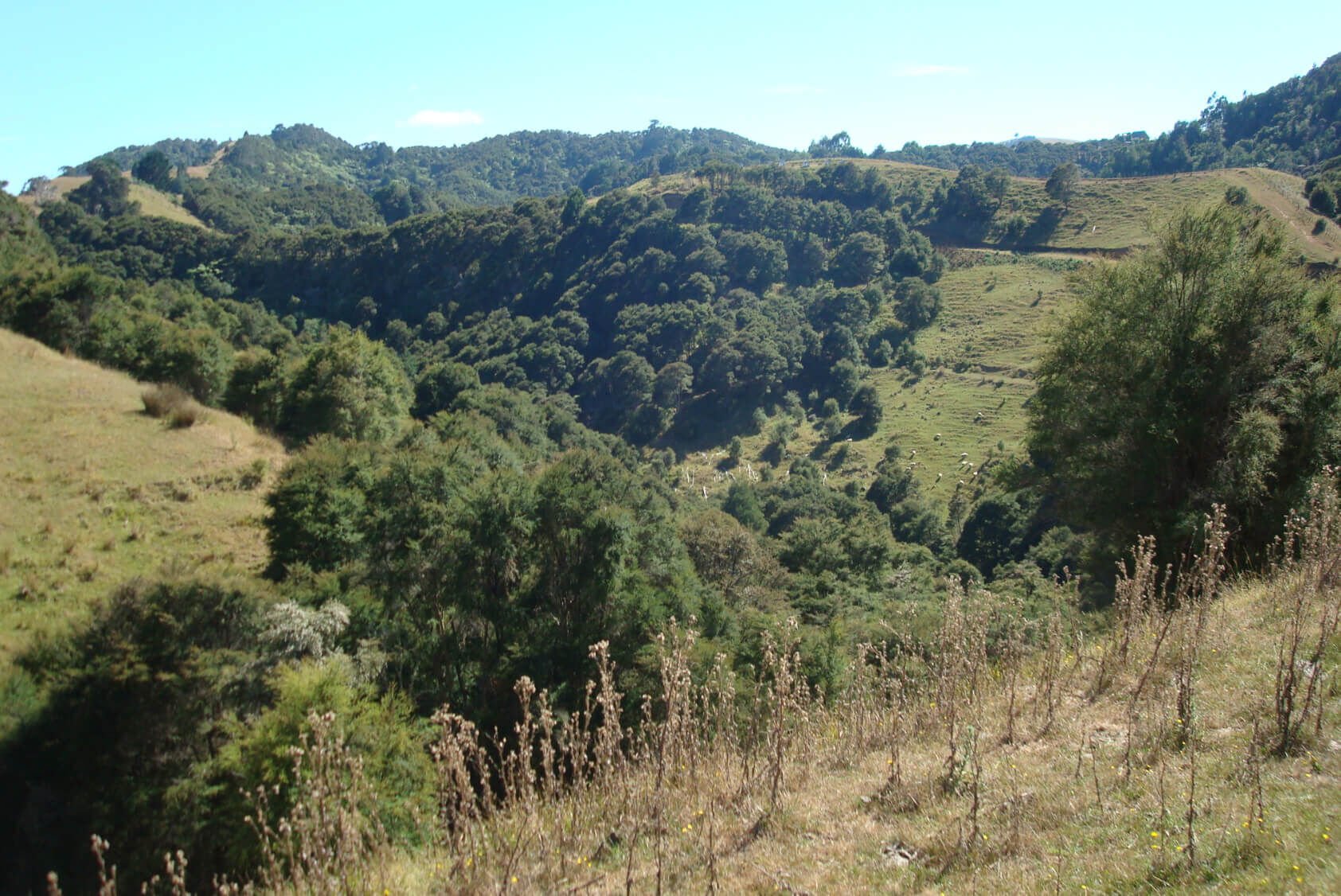 27 Rural Conservation lots