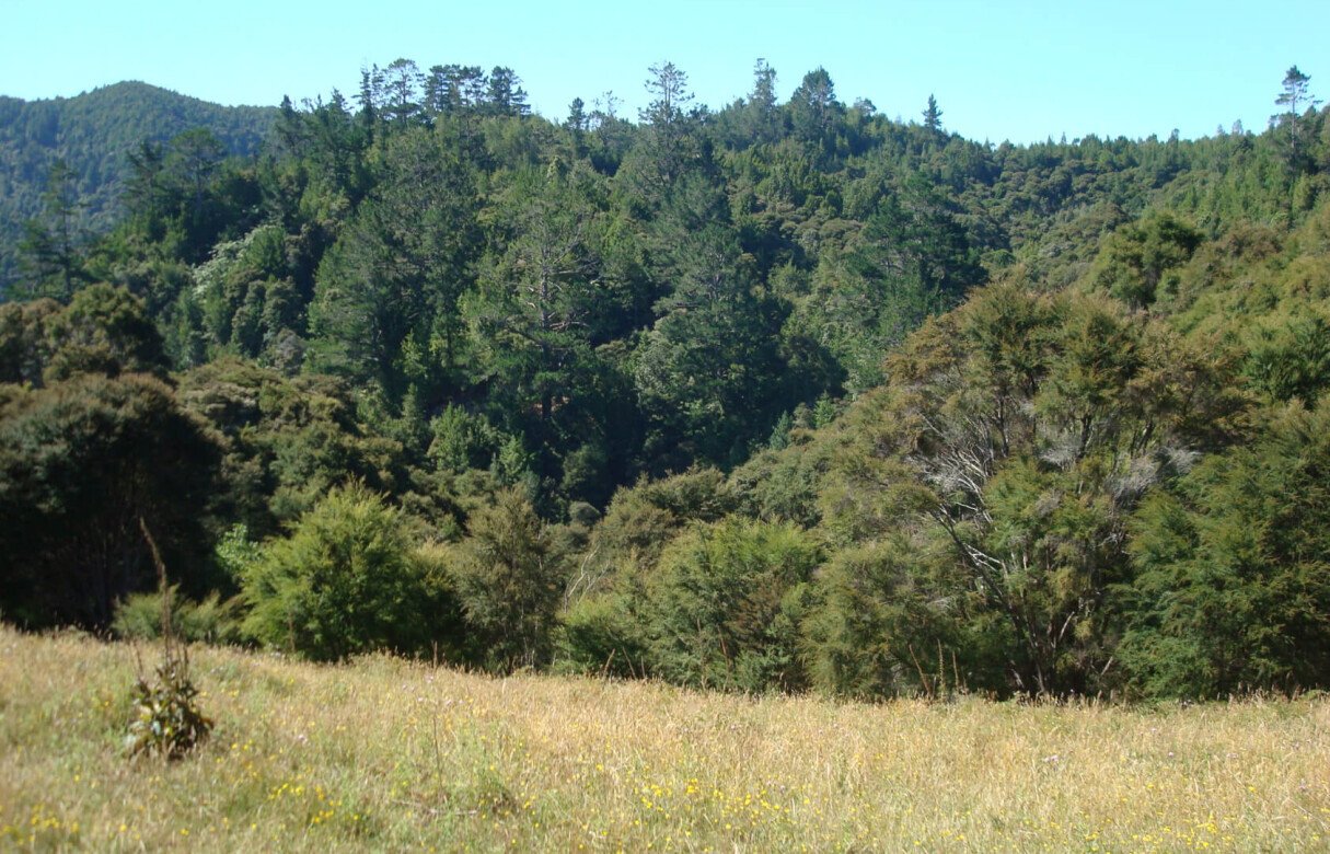 27 Rural Conservation lots