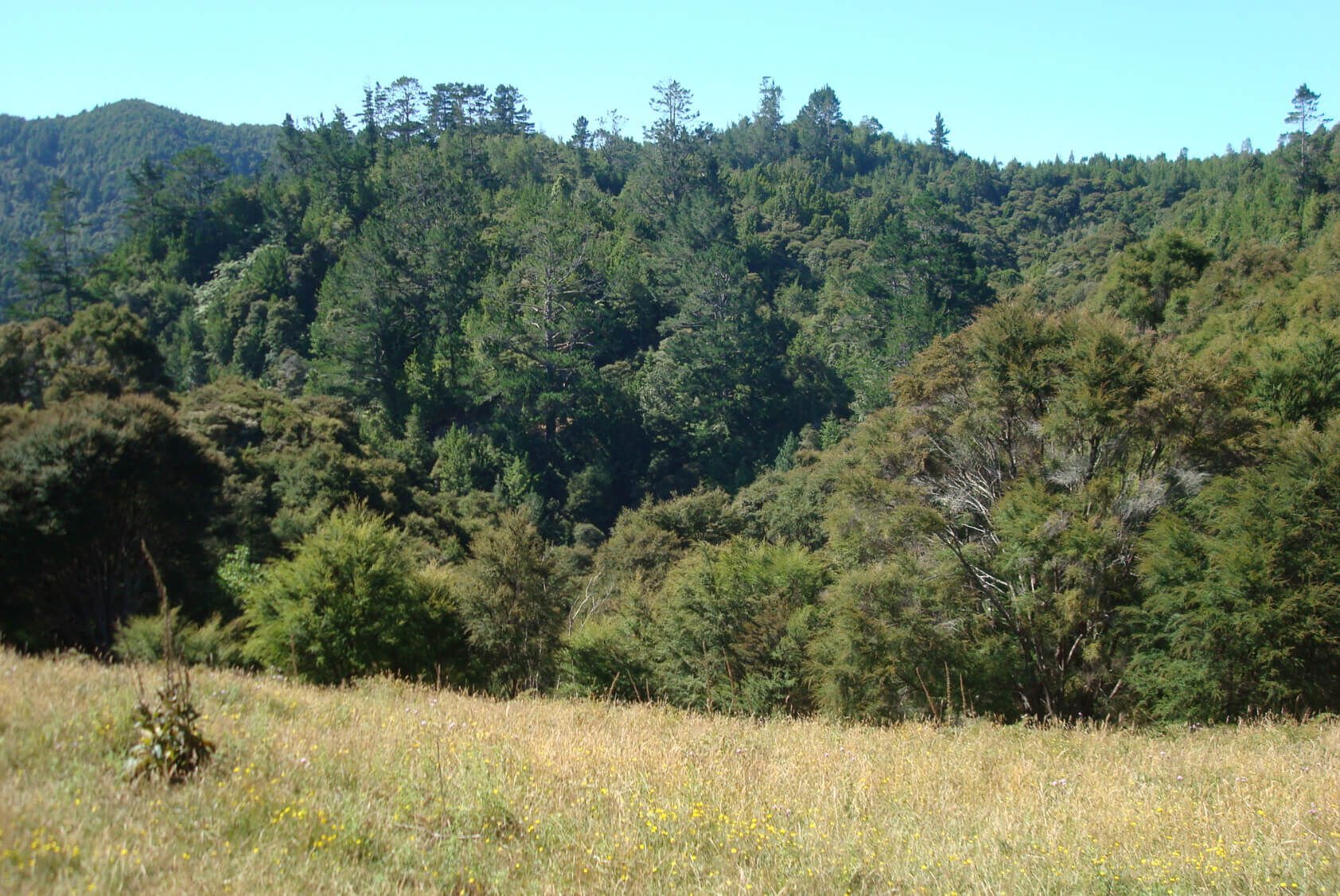 27 Rural Conservation lots