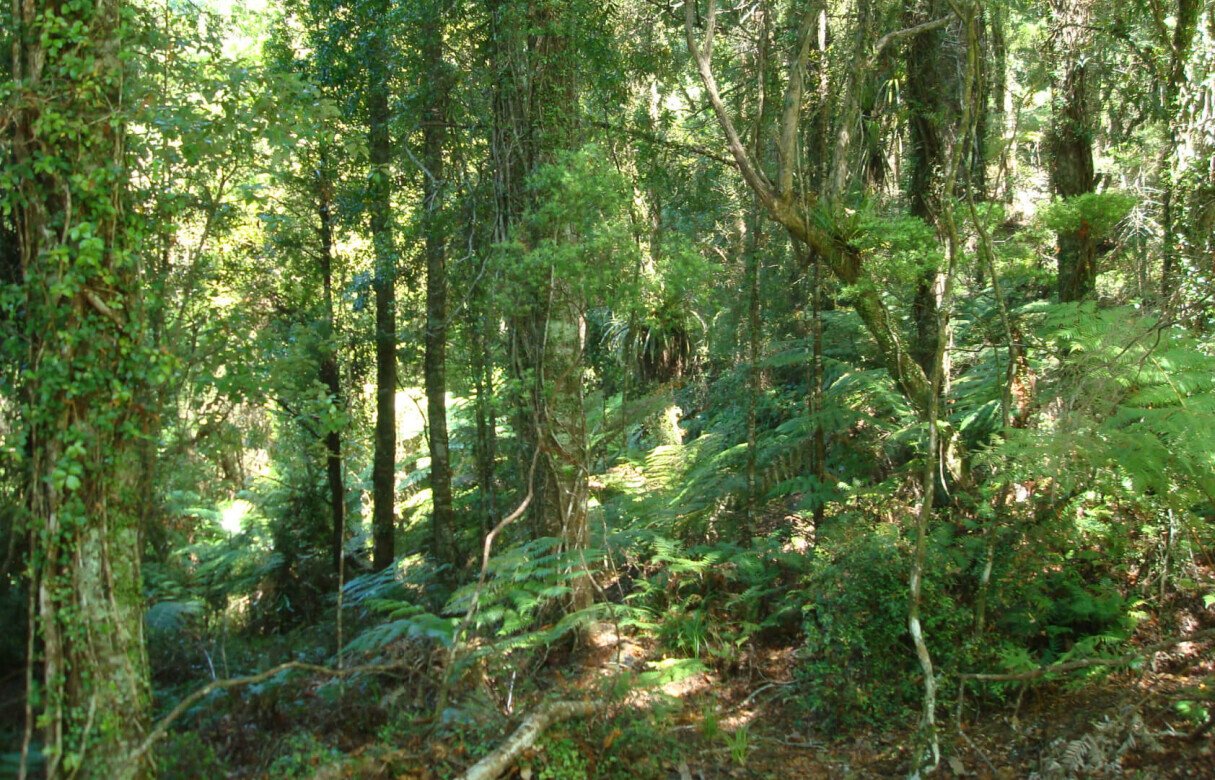 27 Rural Conservation lots