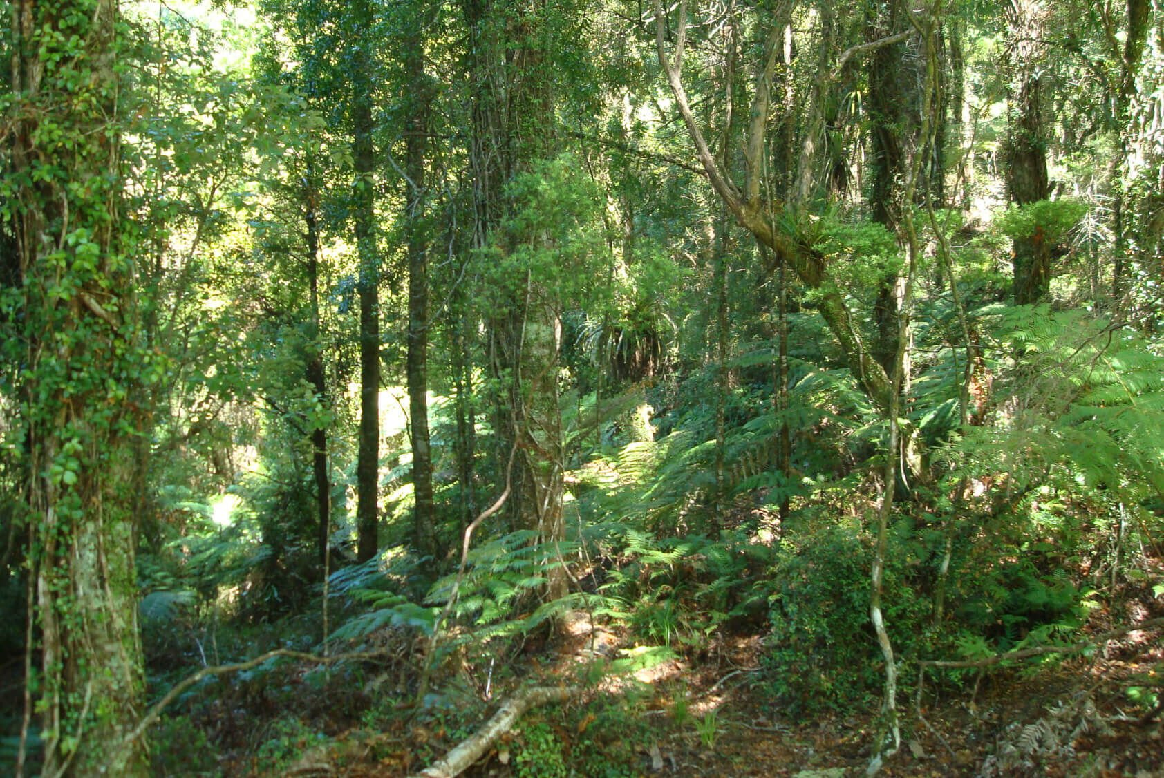 27 Rural Conservation lots