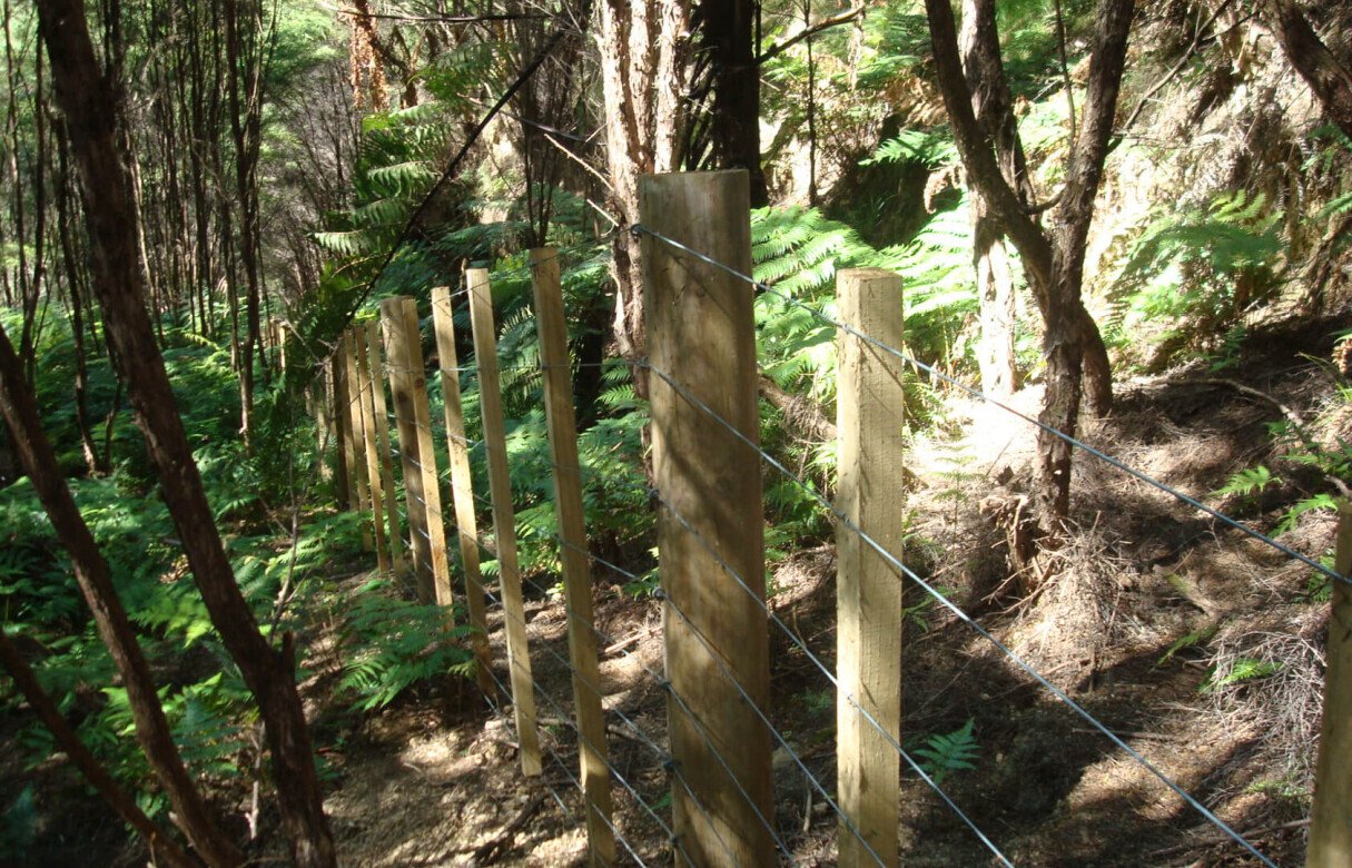 27 Rural Conservation lots