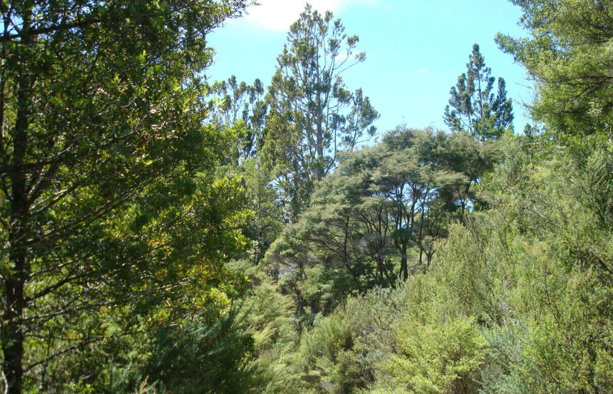 27 Rural Conservation lots