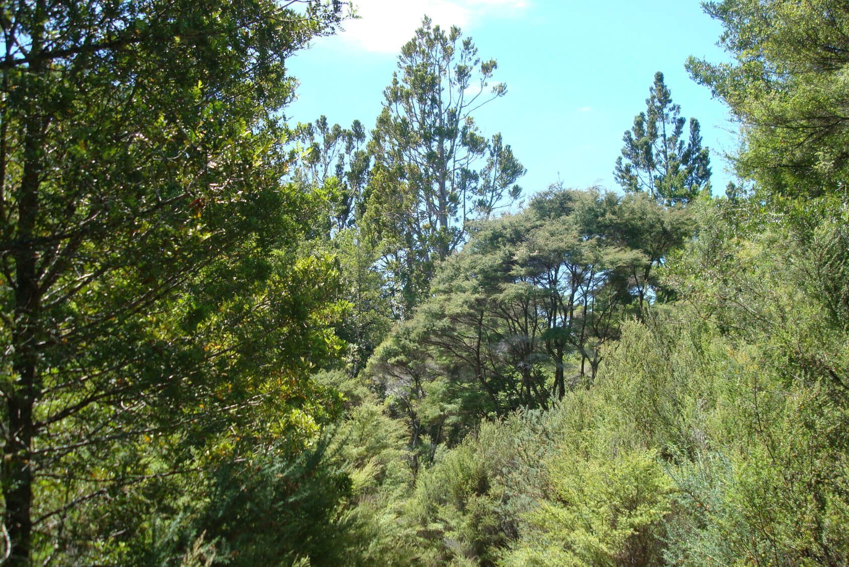 27 Rural Conservation lots