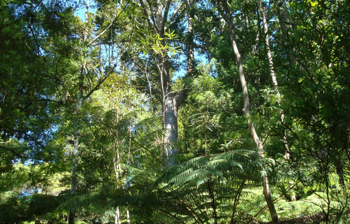 27 Rural Conservation lots