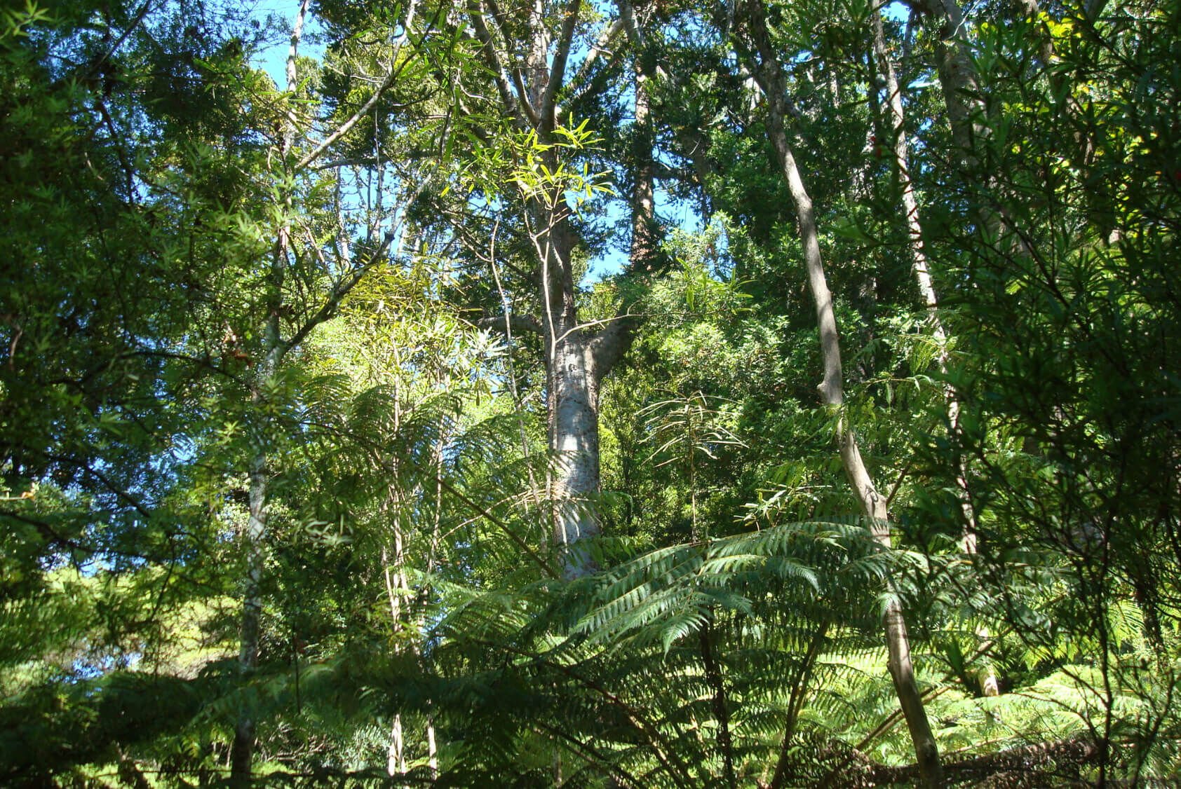 27 Rural Conservation lots