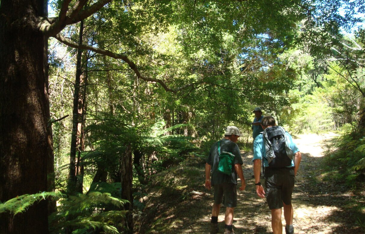 27 Rural Conservation lots