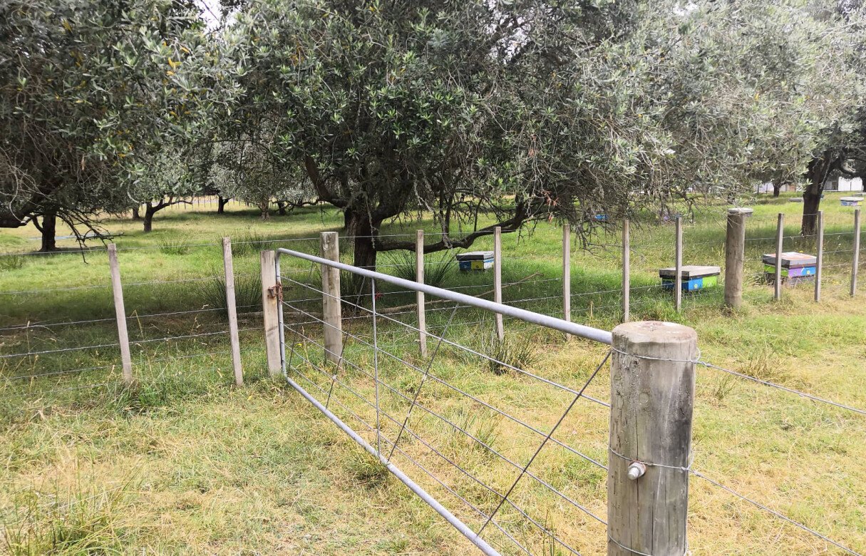 Detached secondary dwelling and a subdivision