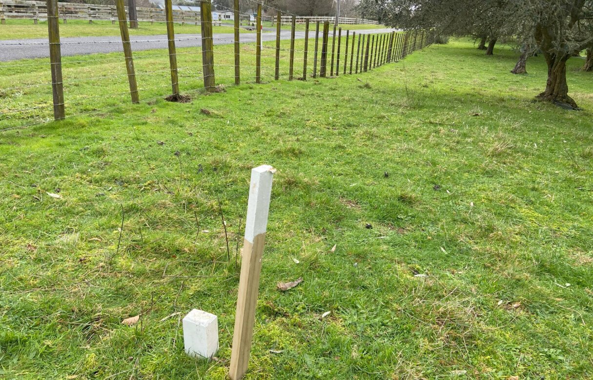 Detached secondary dwelling and a subdivision