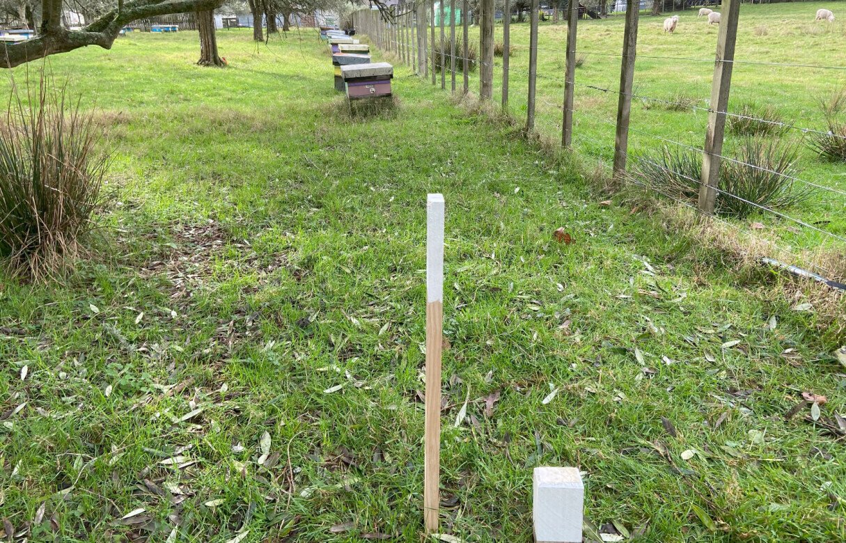 Detached secondary dwelling and a subdivision