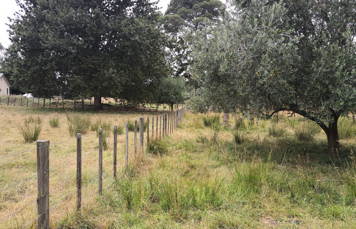 Detached secondary dwelling and a subdivision